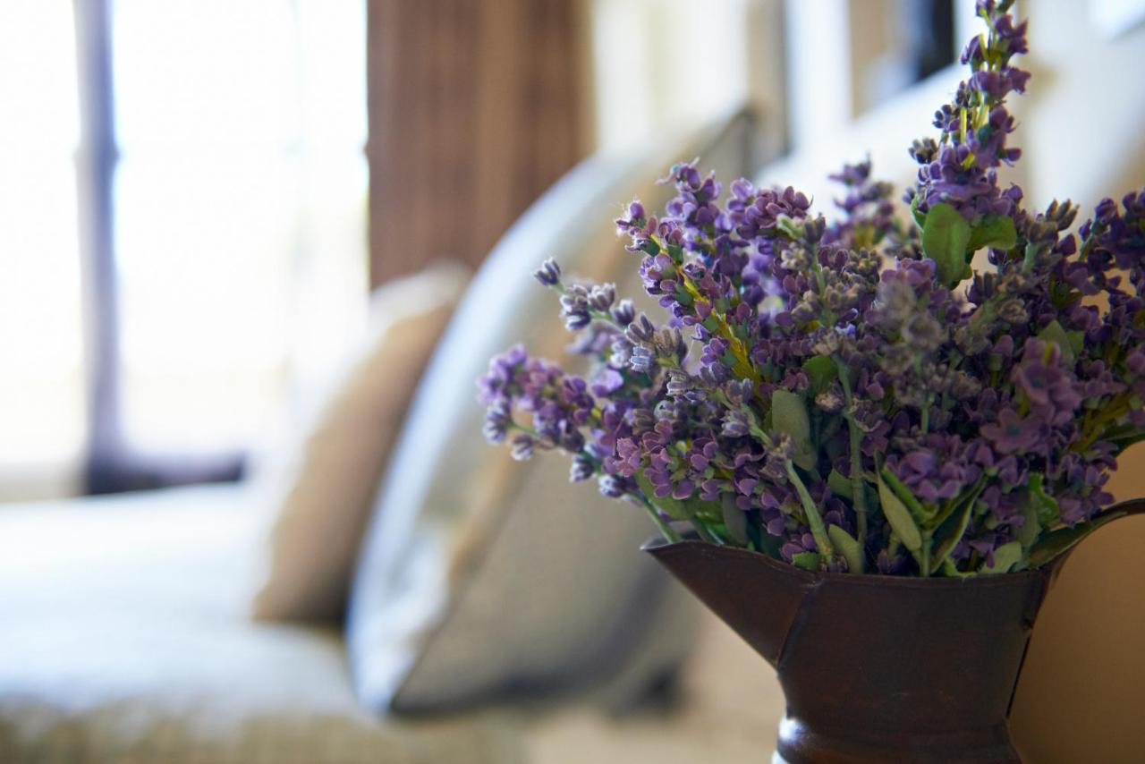 Cambridge Cottage - Self Catering Holiday House Extérieur photo